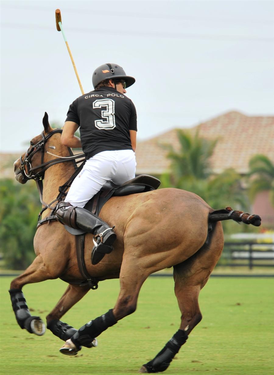 Coca cola vs Zacara Joe Barry cup